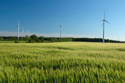 Power lines and wind turbines in a green agricultural landscape