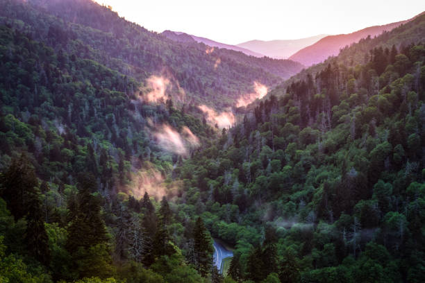 Great Smoky Mountains Sunset Panorama With Winding Mountain Road In The Foreground View from the Newfound Gap overlook over the vast wilderness of the Great Smoky Mountains National Park on the border of North Carolina and Tennessee. newfound gap stock pictures, royalty-free photos & images