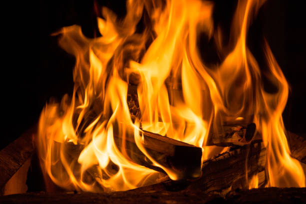 istock Camp fire in the night, burning wooden logs 900857282