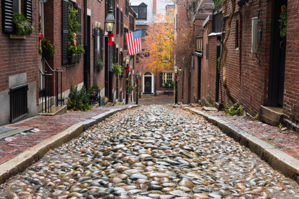 istock Acorn Street 900861068