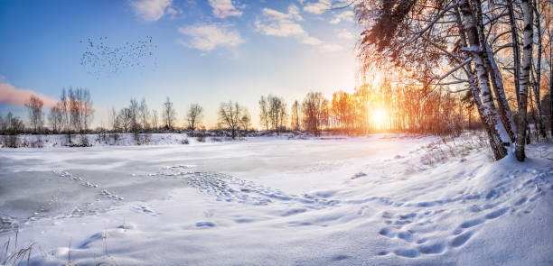 A frozen pond and snow-covered trees