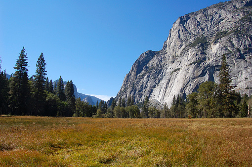 A scenic view of El Capitan Mount in Yosemite Park, California on a sunny day