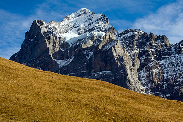 der gipfel des wetterhorn. - european alps mountain mountain peak rock stock-fotos und bilder