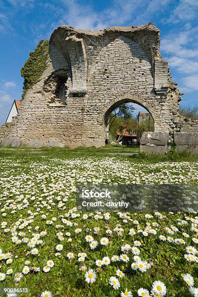 Daises And Ruins Stock Photo - Download Image Now - Grass, Ancient, Built Structure