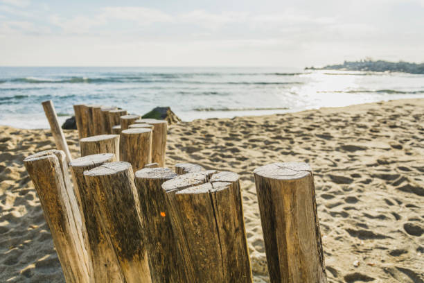 istock Wooden post on the beach 900868440