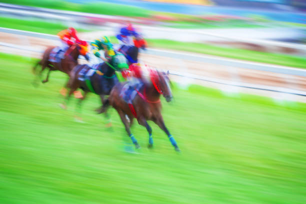 istock Moving racing horses 900868466