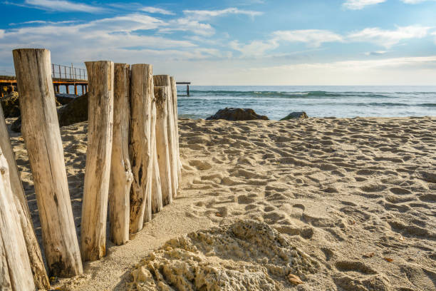 istock Wooden post on the beach 900868500