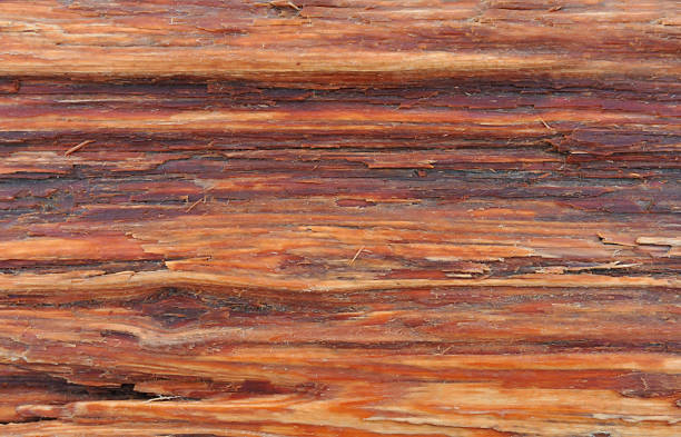istock Wood grain detail 90087069