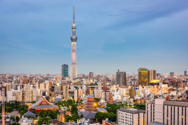 istock Tokyo, Japan Skyline 900872554