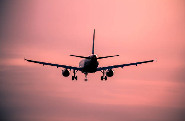istock Airplane landing at sunset 900872698