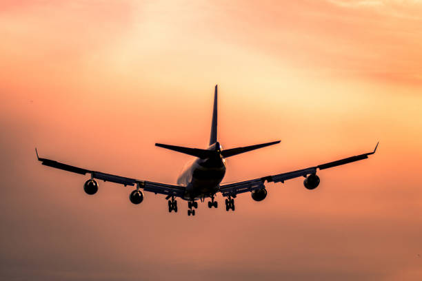 istock Airplane landing at sunset 900873300