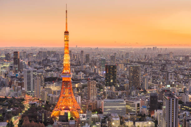 istock Tokyo Japan Skyline 900875448