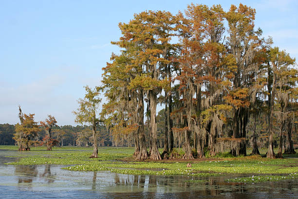 istock Autumn at the Lake 90087902