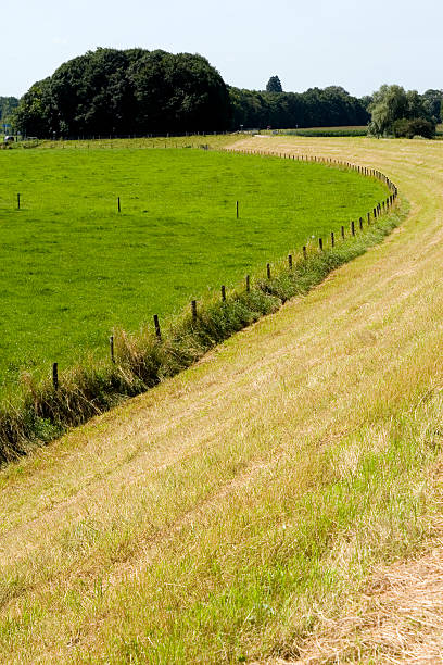 Fence along a dike stock photo