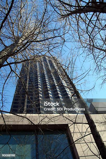 Skyrise Behind The Trees Stock Photo - Download Image Now - Architecture, Banking, Blue
