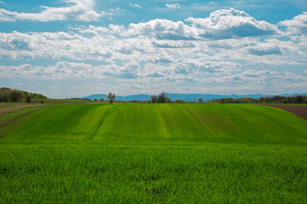 landscape view of a farmland with cloudy sky stock photo