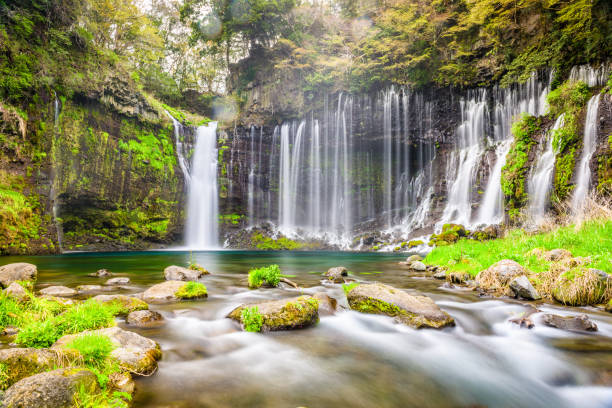 istock Shiraito Falls, Japan 900886536