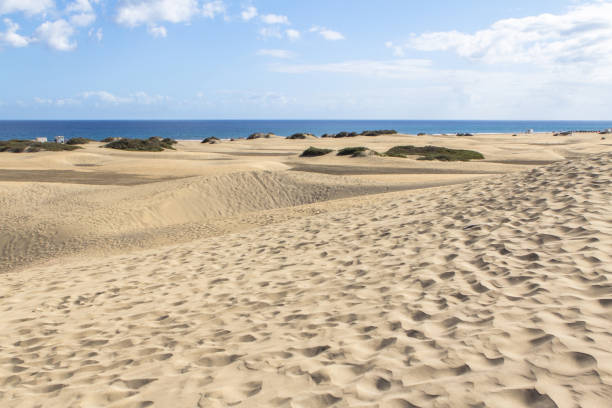istock Maspalomas Sand Dune Desert, Gran Canaria 900886840