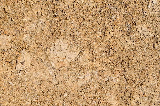 earth texture background stock photo