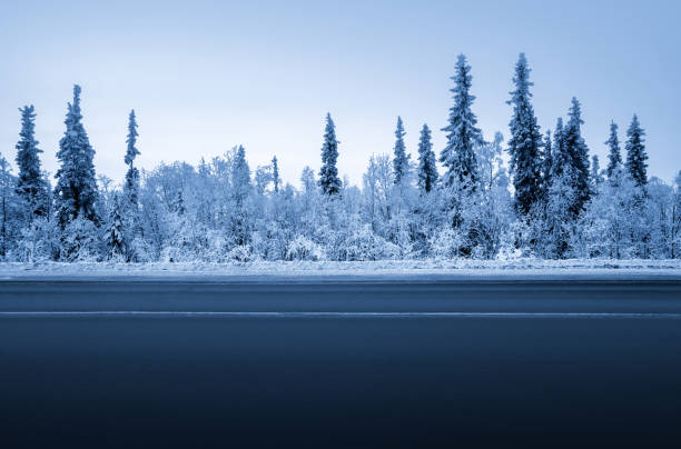 route dans la forêt d'hiver - winterroad photos et images de collection