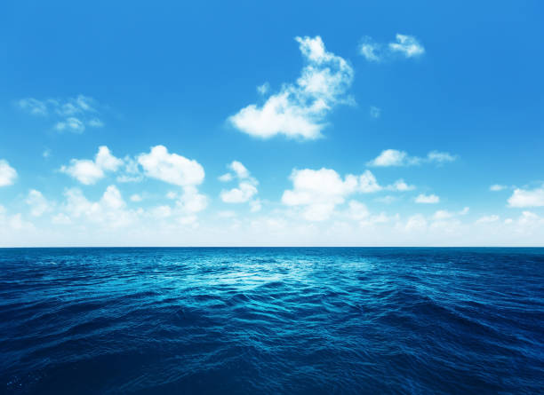 istock perfect sky and tropical ocean 900890040