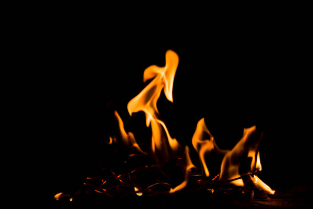 nature fire flames at dark night. freeze motion of red-yellow fire flames burning.burning camp fire with hot flames. - forest fire power actions nature imagens e fotografias de stock