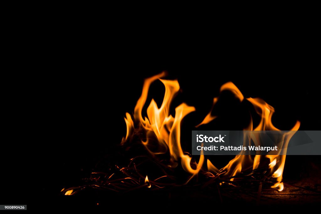 Nature Fire flames at dark night. Freeze motion of Red-Yellow fire flames burning.Burning camp fire with hot flames. Anger Stock Photo