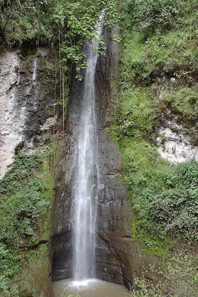 Rain Forest Waterfall stock photo