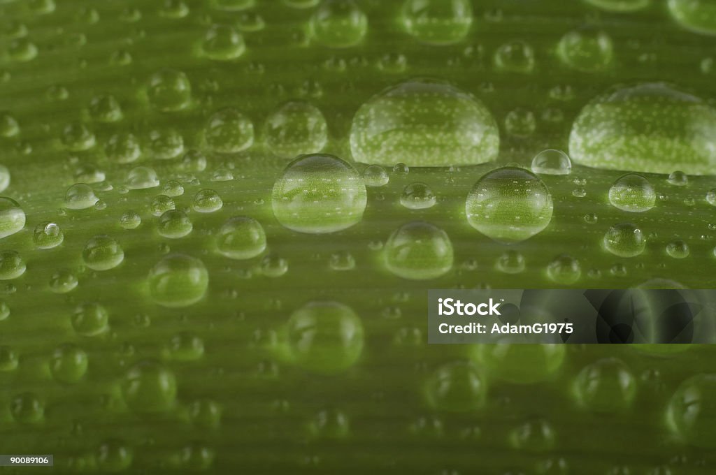 Waterdrops  Abstract Stock Photo