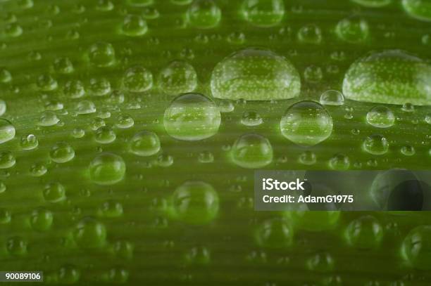 Waterdrops Stock Photo - Download Image Now - Abstract, Backgrounds, Beauty