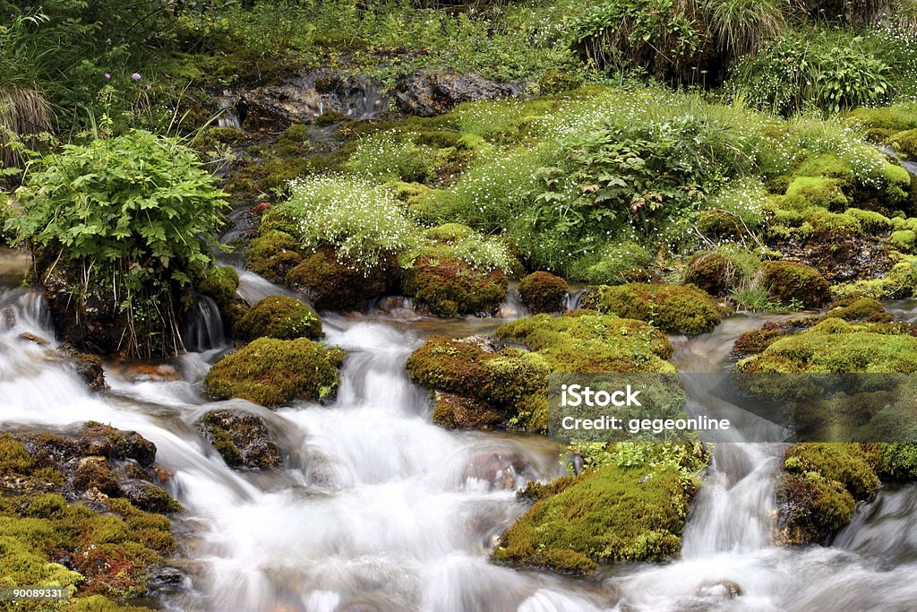 Flowing water  Alta Badia Stock Photo