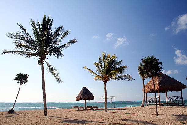 Paradise stock photo