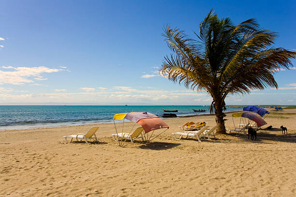 istock Beach on island Margarita, Venezuela 90089513