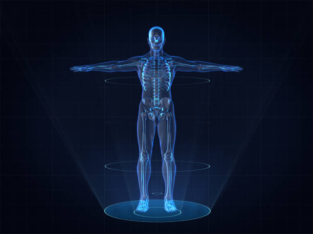 istock Hologram Human anatomy and skeleton 900898264