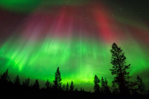 aurora borealis, zorza polarna, nad lasem borealnym - winter landscape sweden snow zdjęcia i obrazy z banku zdjęć