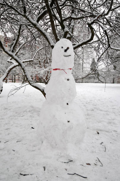 istock Snowman cobbled together by children. 900901666