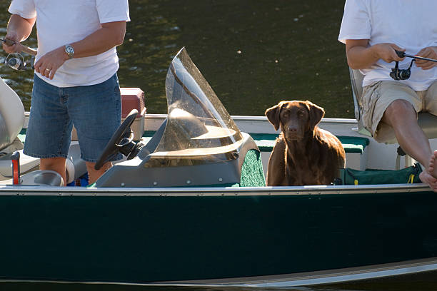 istock Fishing With The Guys 90090408