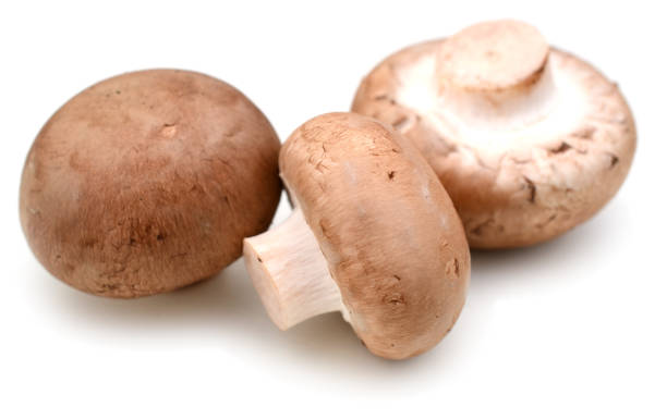 istock Closeup Mushroom champignon isolated on white background 900904202