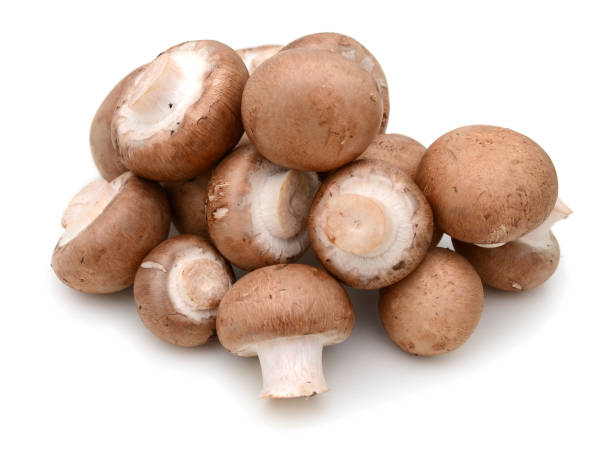 istock mushrooms champignons isolated on a white background 900904386