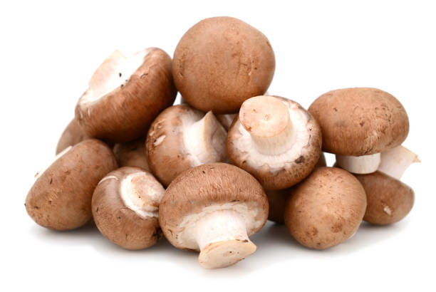 istock Set Champignon mushroom isolated on white background 900904400