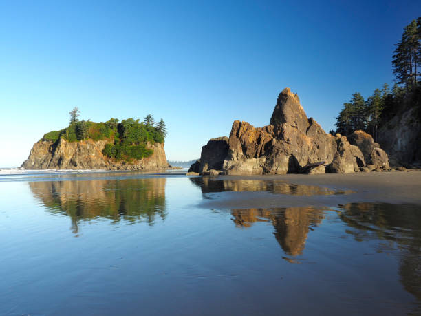 istock Sea Stacks at Ruby Beach Washington, Reflected in the Calm Waters of Low Tide 900904416