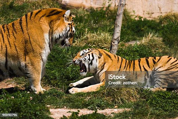 Sie Sich Von Mir Stockfoto und mehr Bilder von Aggression - Aggression, Farbbild, Faulheit