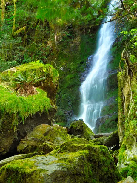 Photo of Waterfall and Moss Covered Rocks in Olympic National Park, Washington