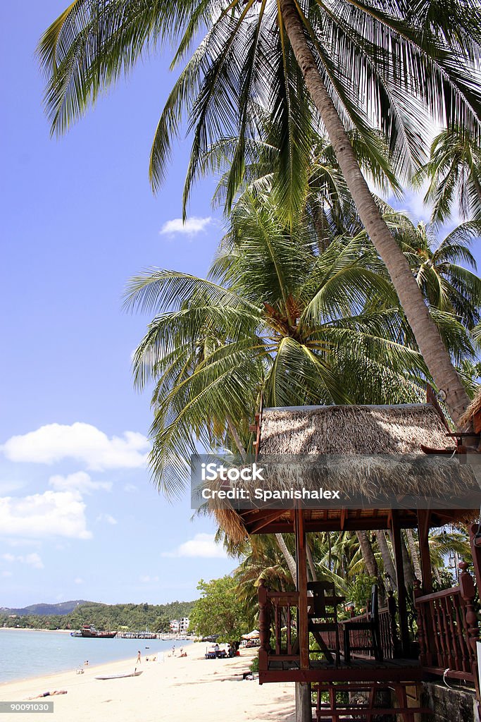 Tropical Beach Scene  Atoll Stock Photo