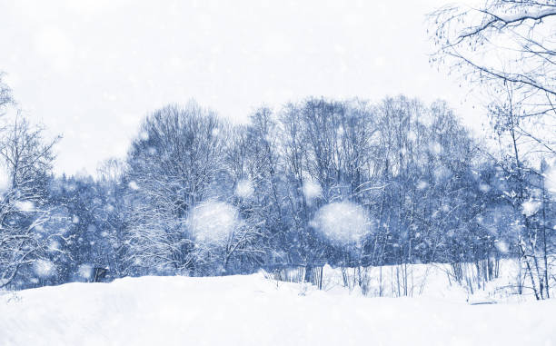 istock Landscape in the winter day 900911660