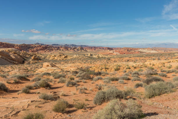 istock Valley of Fire Nevada Landscape 900913104