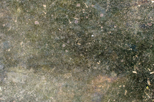 istock The road is cemented. There is a green moss. 900913356