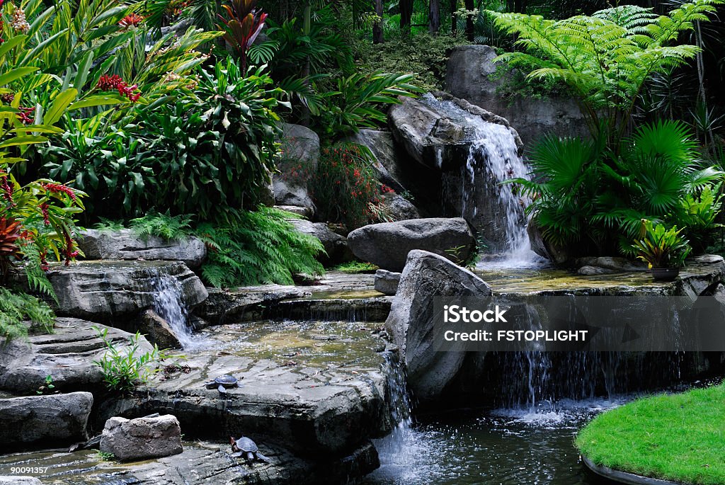 Chemin dans la forêt tropicale - Photo de Eau libre de droits