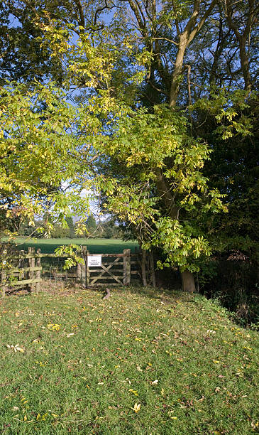 istock Baddesley Clinton estate 90091584