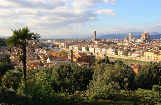 Siena city skyline with view of the Palazzo Pubblico tower. Tuscany, Italy.